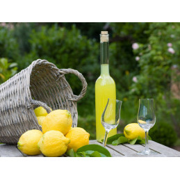 LIMONCELLO DI MARGHERITA 1/2 L