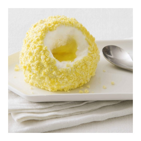 TARTUFO AL LIMONCELLO (IJS)